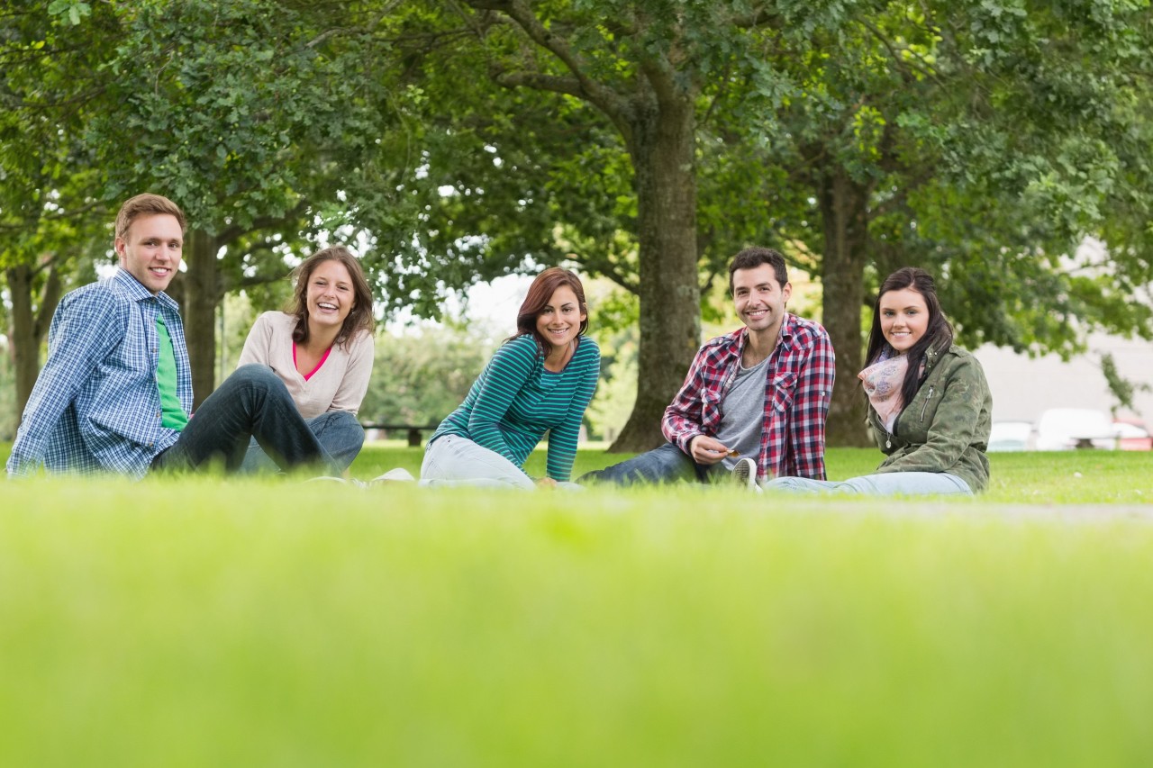 Group portrait of young college students sitting on grass in the park